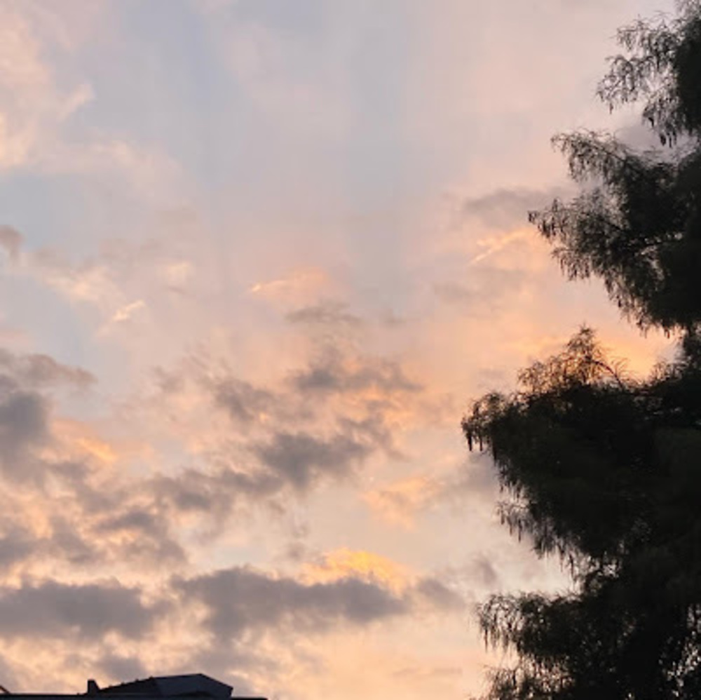 Meet your Posher, Lorraine